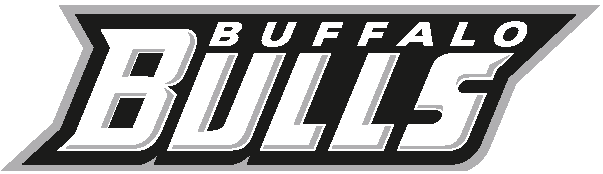 Buffalo Bulls 2007-Pres Wordmark Logo t shirts iron on transfers